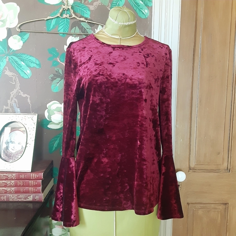 Beachlunchlounge Velvet Belle Sleeve Top Size XS
